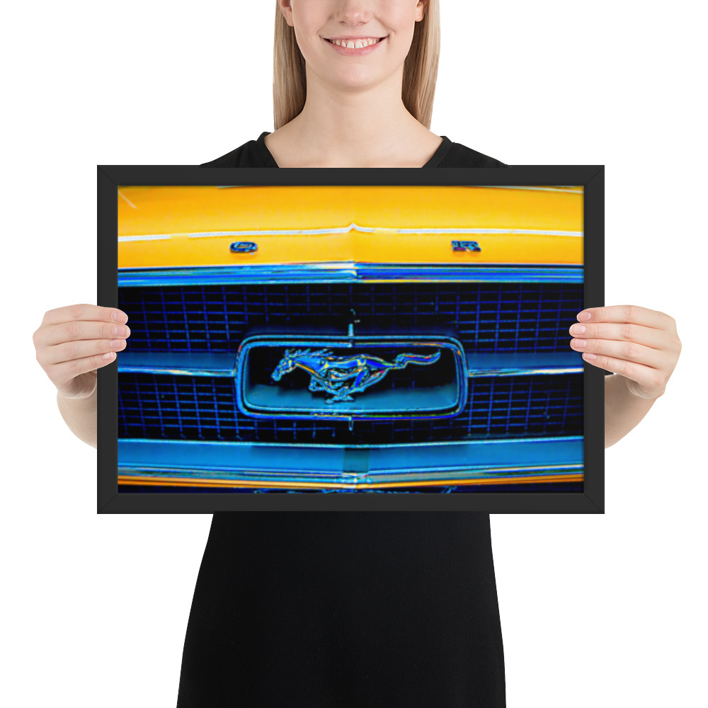 Framed Fine Art Print – MUSTANG-TOP-studio-0080 By Michael B. Lloyd